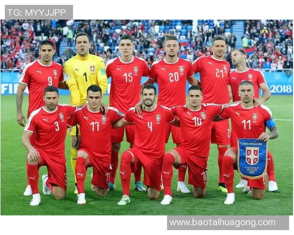 瑞典足球国家队最新球星名单与阵容分析及前景展望